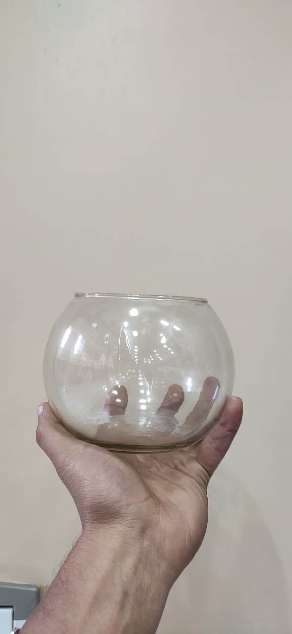 Glass Vase Collection