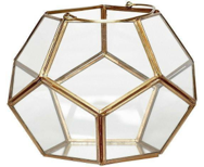 Multishaped Brass Coated Terrarium Vase