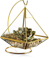 Triangle Terrarium