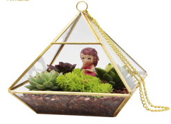 Triangle Terrarium