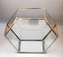 Multishaped Brass Coated Terrarium Vase