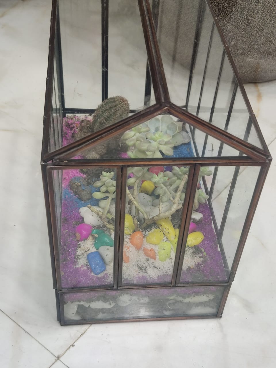 House Shape Terrarium