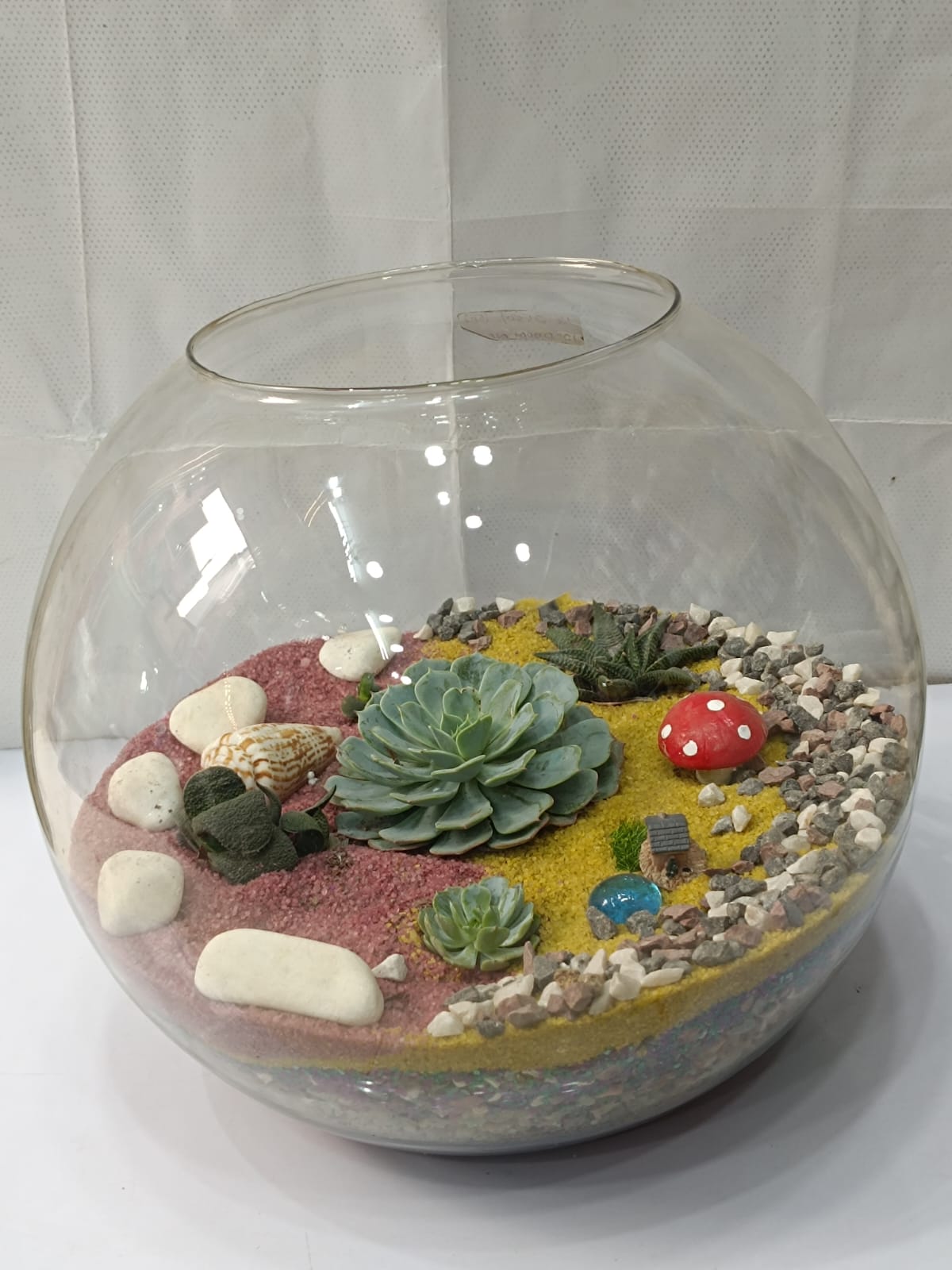 Round Doom Shape Succulent Terrarium
