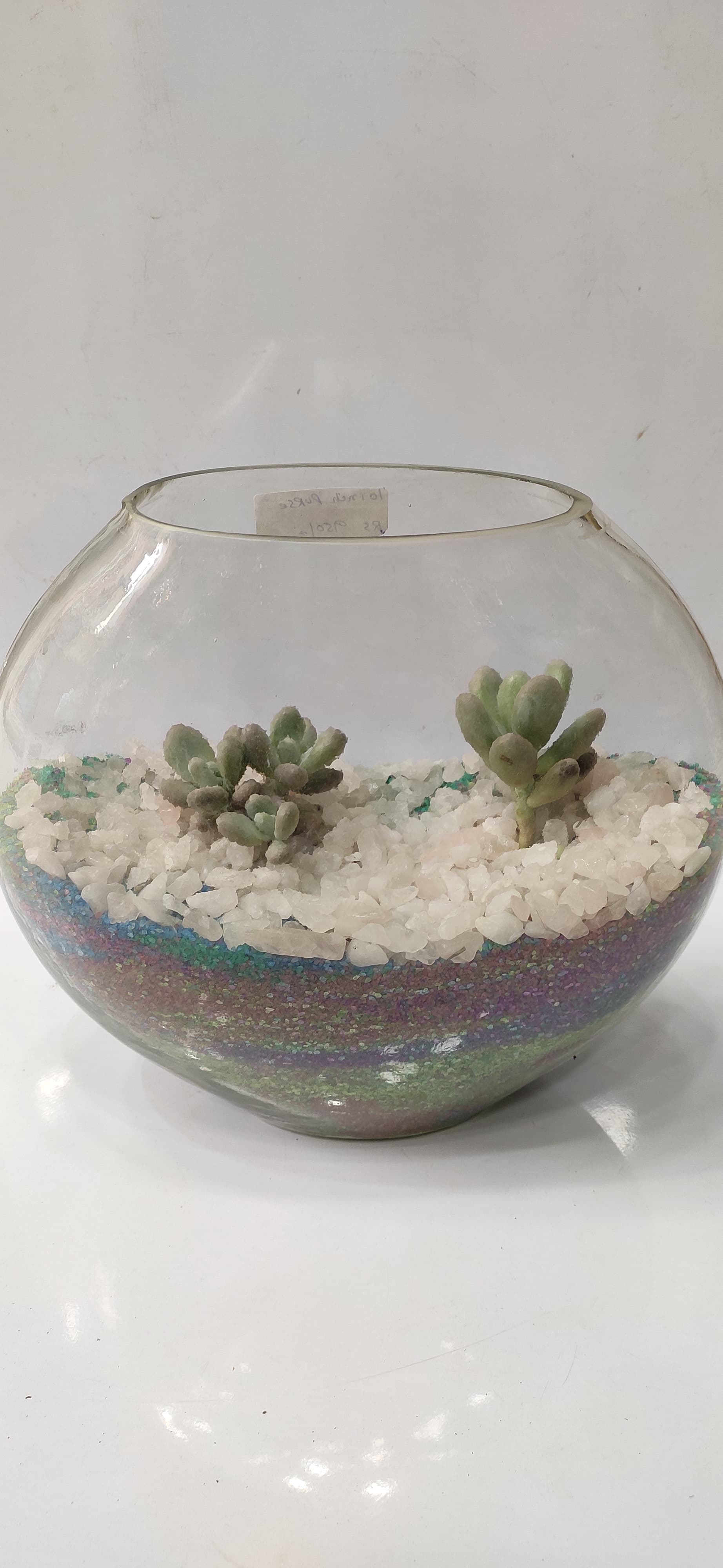 Purse Shape Terrarium