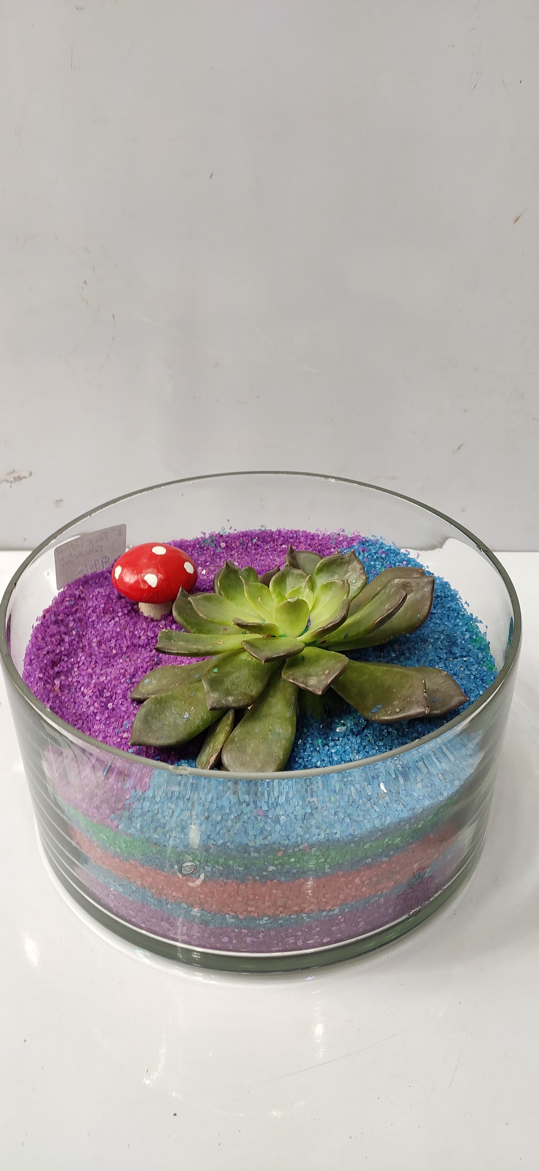 Trup Shape Terrarium