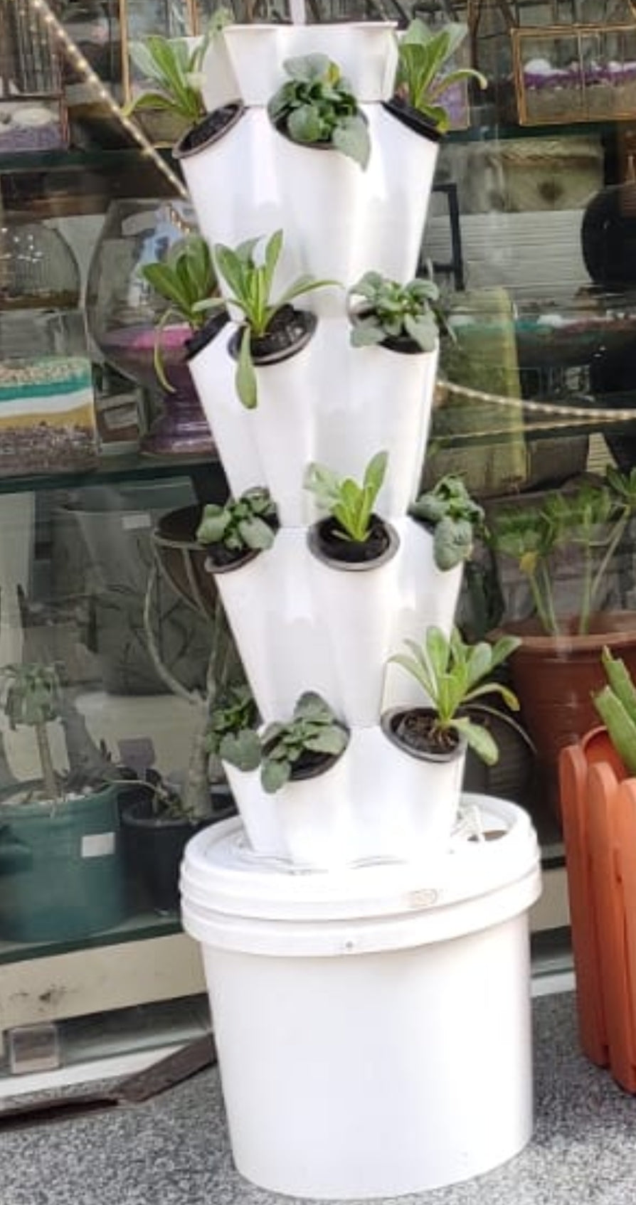 Aeroponic - Hydroponic  Tower