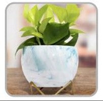Multicolor Metal Pots