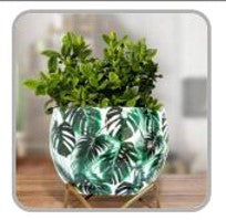 Multicolor Metal Pots