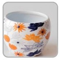 Multicolor Metal Pots