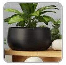 Dish Shape Metal Pot