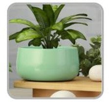 Dish Shape Metal Pot