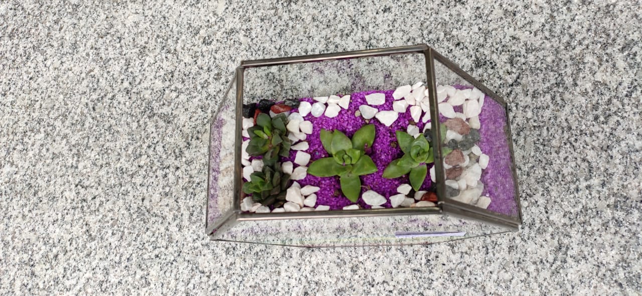 polygon Terrarium