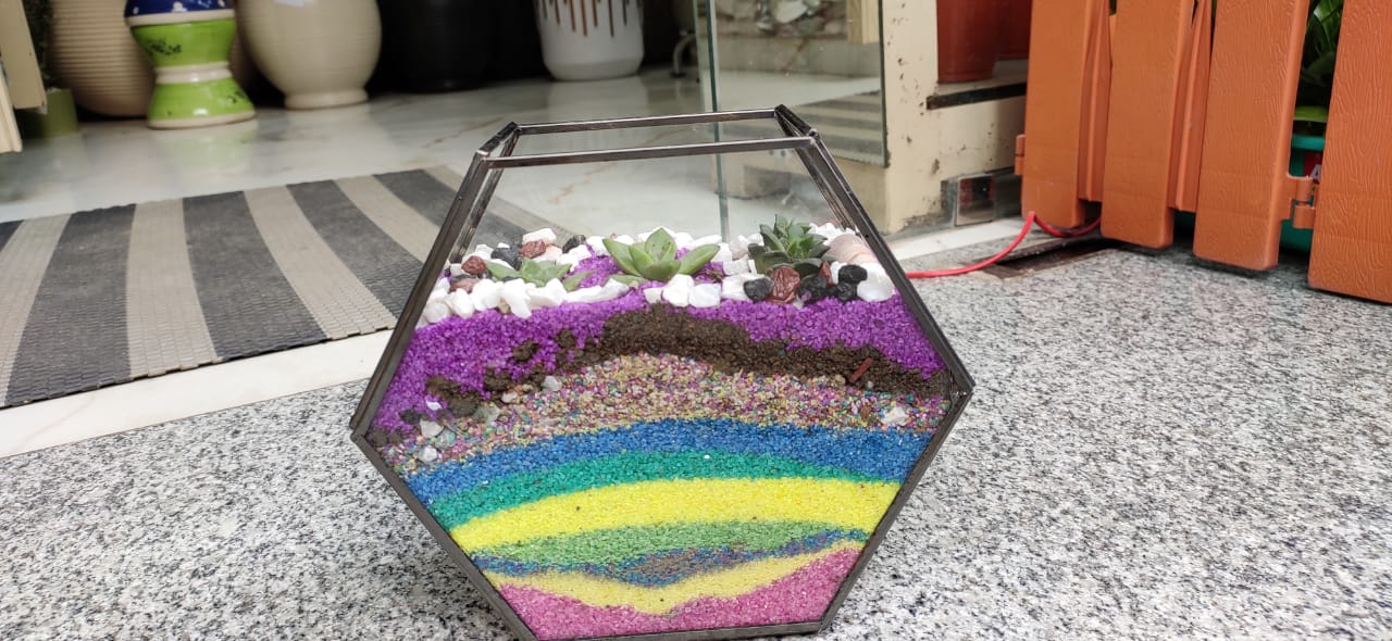 polygon Terrarium