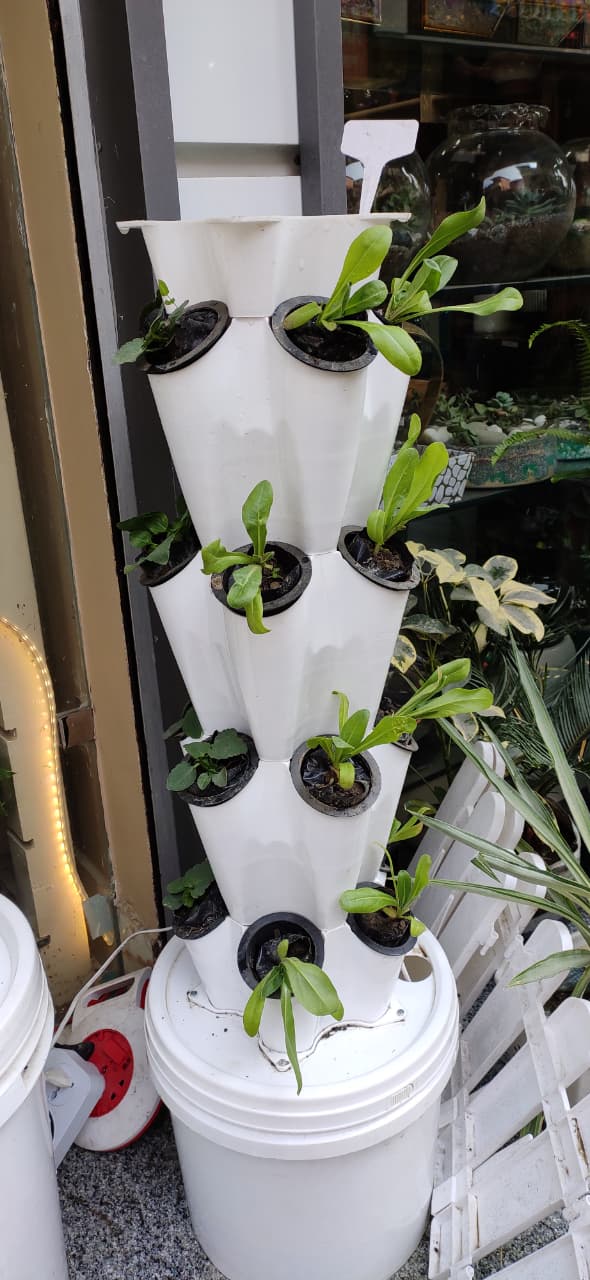 Aeroponic Tower